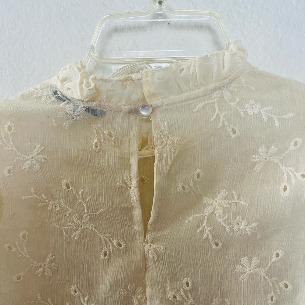 iris Ivory Sheer Ruffle Embroidered Blouse - Picture 3 of 6